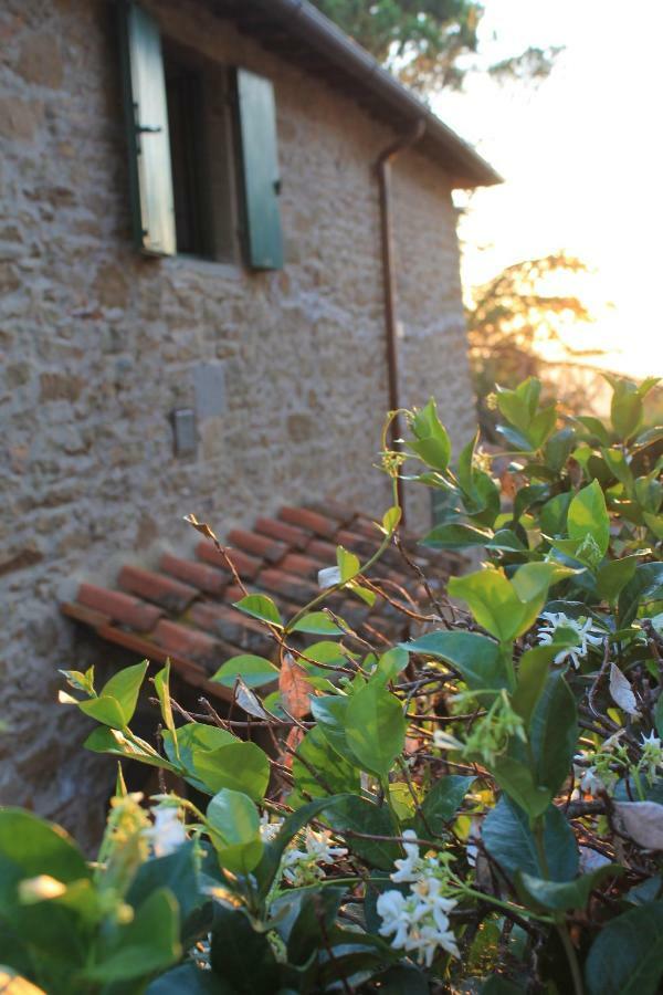 Podere I Rovai-Apt Il Rifugio- In The Heart Of Tuscany Reggello Esterno foto