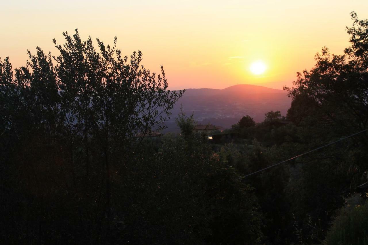 Podere I Rovai-Apt Il Rifugio- In The Heart Of Tuscany Reggello Esterno foto